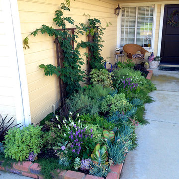 Quick Curb Appeal - AFTER