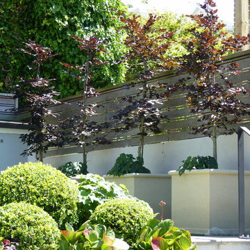 Tinakori - An historic villa renovated for family living
