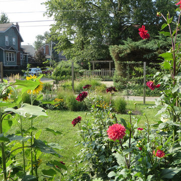 Garden with edible fence and native flowers