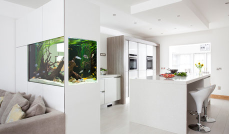 Fun Houzz: 13 of the Best Home Aquariums
