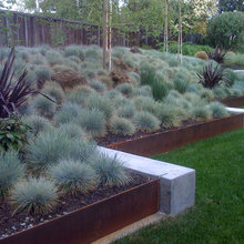 Landscape & Exterior Ideas for Halyard