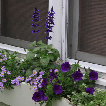 Seasonal Container Plantings & Changeovers