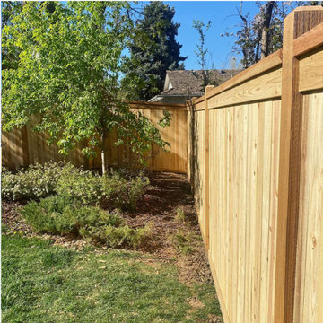 Cedar Privacy Fence with Top Cap and Trim