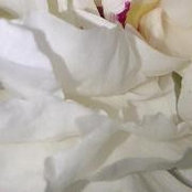 Alison Lennie's photo