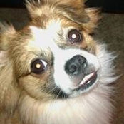 Alissa Lenzinger's photo