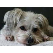 Susan Sahler's photo
