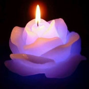 Verna Gingerich's photo