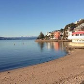 Lisa Gibson's photo