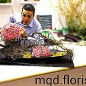 Majd Almogabe Florists foto