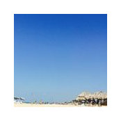 Sam Zhang's photo