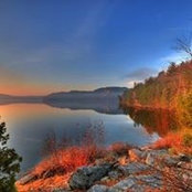 Nicole Hamilton's photo