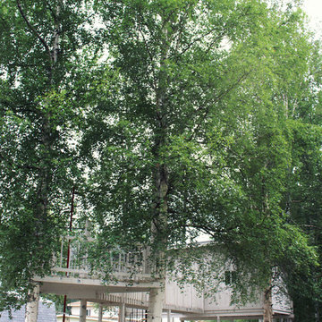 Tree House