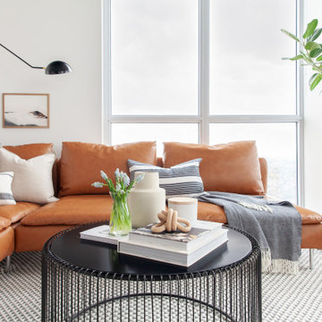Contemporary Condo Living Room