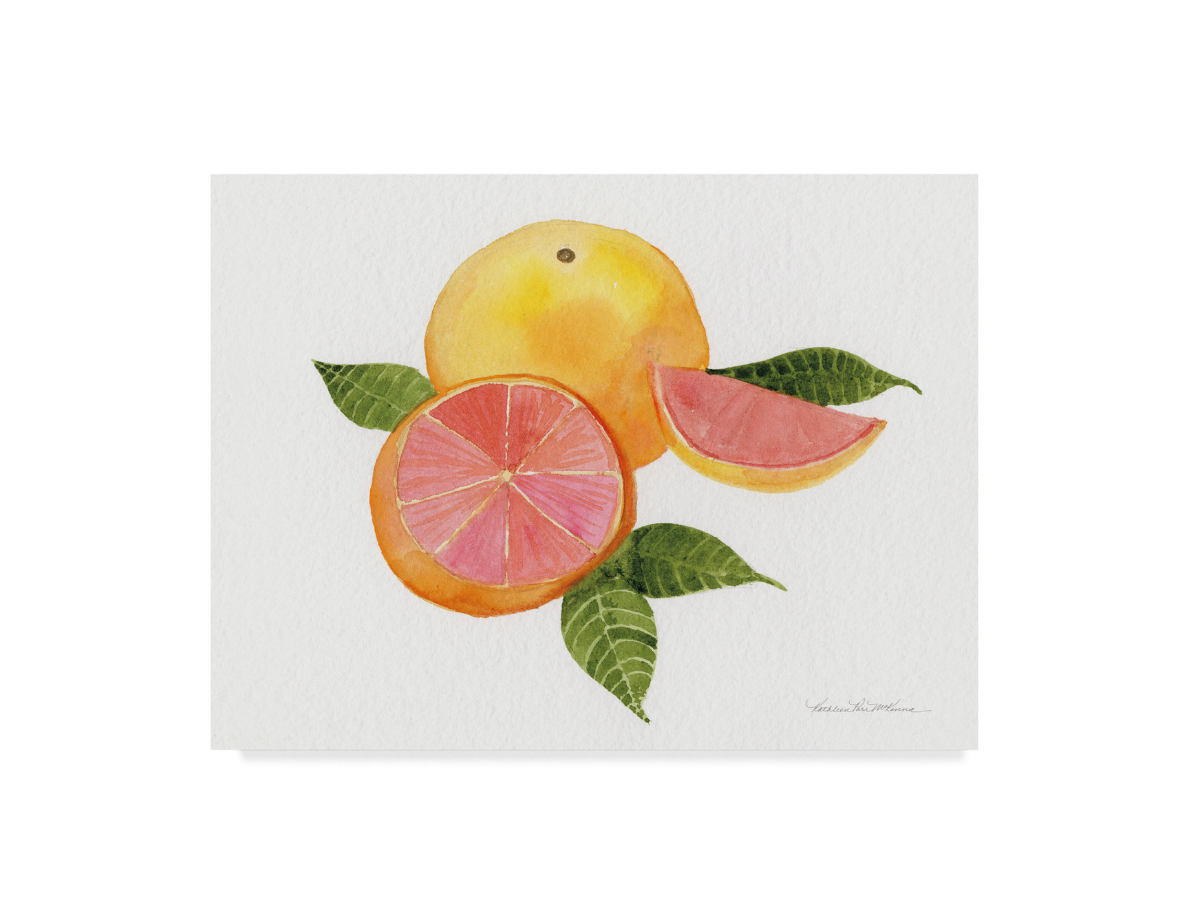 Kathleen Parr Mckenna 'Citrus Garden X' Canvas Art, 14"x19" - Farmhouse ...