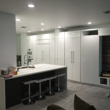high gloss acrylic/textured laminate kitchen