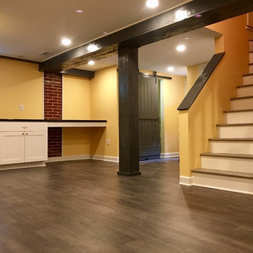 Arlington Basement, Bathroom and Kids Play Area