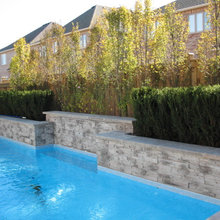 trees/landscaping