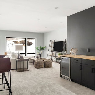 This is an example of a scandinavian basement in Minneapolis.