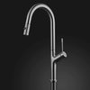 Elisa Modern Kitchen Faucet With 2 Jets, Chrome