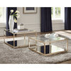 Coaster Renee 2-Piece Square Glass Top Occasional Set in Gold