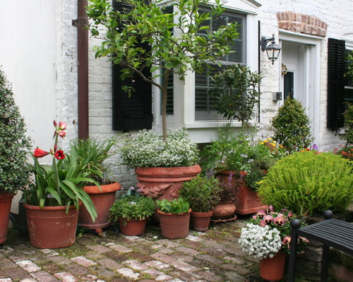 Best Terra Cotta Garden Pots Design Ideas & Remodel Pictures | Houzz