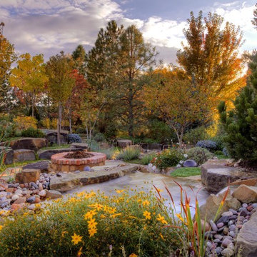 Oasis Amongst the Evergreens