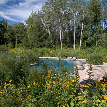 Pool in the Meadow