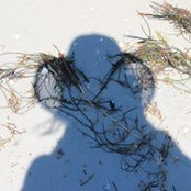 Susan Weber's photo