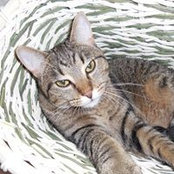 Susan Taylor's photo