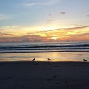 Mike Sullivans foto