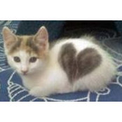 Angela Spreacker's photo