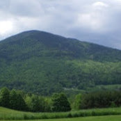 Erika Stillson's photo
