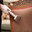 Carpet Cleaners Auckland