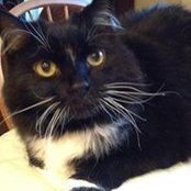 Diane Severson's photo