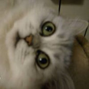 Анна Димитрова's photo