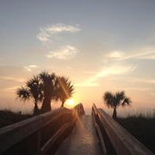 Carey Phelps's photo
