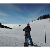 Alan Hay's photo