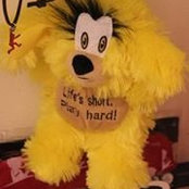 Photo de Mel Cook
