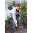Patty Walters Landscape Design's profile photo