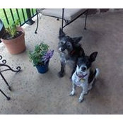 Pat Cristy's photo