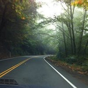 Lynette LaMascus's photo
