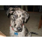 Laura Douglas's photo
