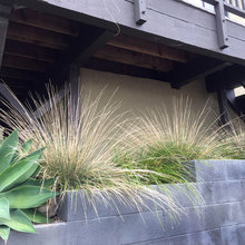 Contemporary Landscapes