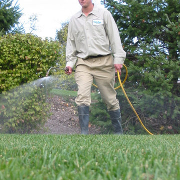 Lawn Care
