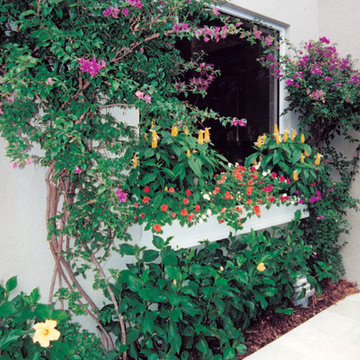 Boca Raton Luxury Garden