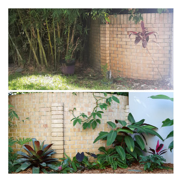 Garden Renovation Before and After