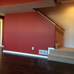 Design ideas for a large classic look-out basement in Other with red walls, dark hardwood flooring and no fireplace.
