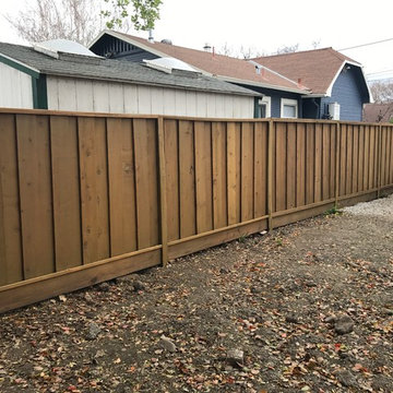 Limestone wood