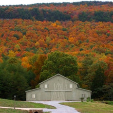 Fall color