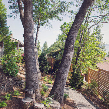 Shaded Garden Path